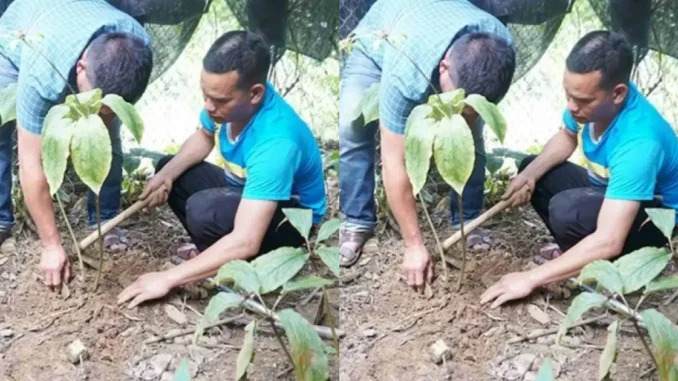 Công an điều tra 2 đề tài khoa học tiêu tốn tiề.n tỷ nhưng thất bại Công an điều tra 2 đề tài khoa học tiêu tốn tiề.n tỷ nhưng thất bại