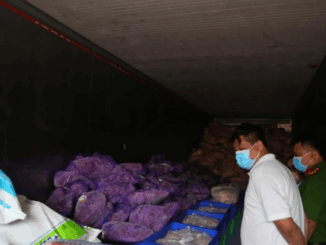 Phát hiện hơn 11 tấn thực phẩm đông lạnh không rõ nguồn gốc