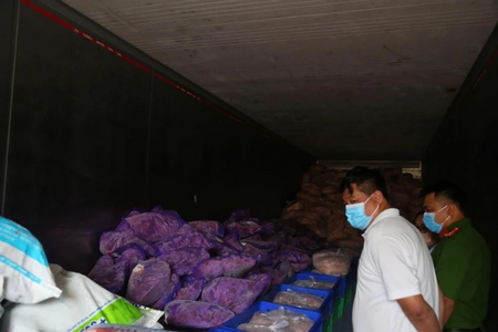 Phát hiện hơn 11 tấn thực phẩm đông lạnh không rõ nguồn gốc Phát hiện hơn 11 tấn thực phẩm đông lạnh không rõ nguồn gốc