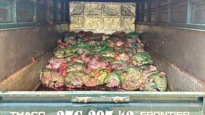 Cả nước dõi về Nghệ An: Phát hiện chiếc xe tải biển 37 chứa toàn những túi nilong b;;ốc m:ùi, k:ẻ gây á;:n đã quá d::ã-m:a:n rồi trời ơi… Cả nước dõi về Nghệ An: Phát hiện chiếc xe tải biển 37 chứa toàn những túi nilong b;;ốc m:ùi, k:ẻ gây á;:n đã quá d::ã-m:a:n rồi trời ơi…