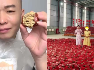 Sự lụi tàn của trend táo đỏ: Bạn đã đổ bao nhiêu tiề.n và.o đây rồi?