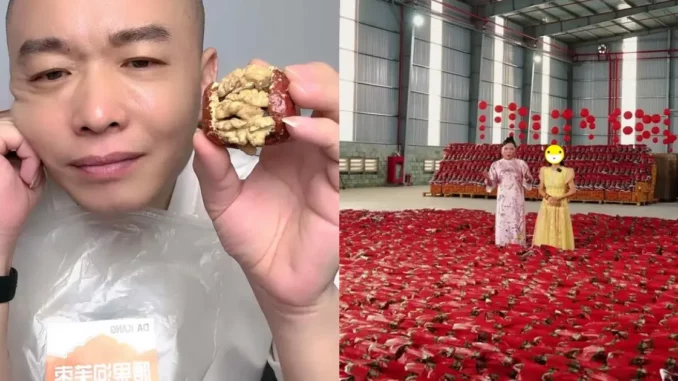 Sự lụi tàn của trend táo đỏ: Bạn đã đổ bao nhiêu tiề.n và.o đây rồi? Sự lụi tàn của trend táo đỏ: Bạn đã đổ bao nhiêu tiề.n và.o đây rồi?