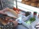 K:inh:hoang quy trình sản xuất hàng tấn pate kẹp trong bánh mì nhà nhà người người ăn mỗi sáng: Sao mà th::ất đ::ức vậy cơ chứ
