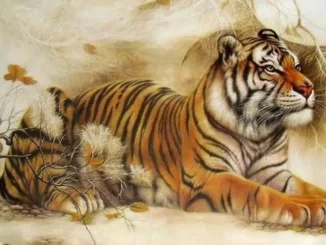 Nếu chồng bạn rơi vào 3 con giáp này thì “Dù nghèo đến đâu cũng đừng ly hôn”. Sớm muộn gì bạn cũng sẽ giàu có