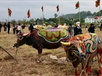 Dự báo dân gian cho năm Ất Tỵ 2025: "7 rồng trị thủy, 4 trâu cày ruộng, 9 người chia bánh" mang ý nghĩa gì?