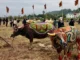 Dự báo dân gian cho năm Ất Tỵ 2025: "7 rồng trị thủy, 4 trâu cày ruộng, 9 người chia bánh" mang ý nghĩa gì?