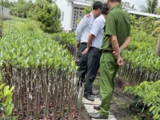 Xuất hiện clip đoàn kiểm tra liên ngành tới cơ sở cây giống gây xôn xao