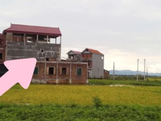 Năm 2025, 2 điều kiện để được xây nhà trên đất nông nghiệp