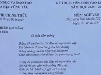 Đề thi môn Ngữ Văn vào lớp 10 tỉnh Bà Rịa - Vũng Tàu năm 2025