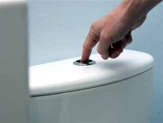 Có đến 2 nút bấm trên bồn cầu, bạn có biết công dụng từng nút không?